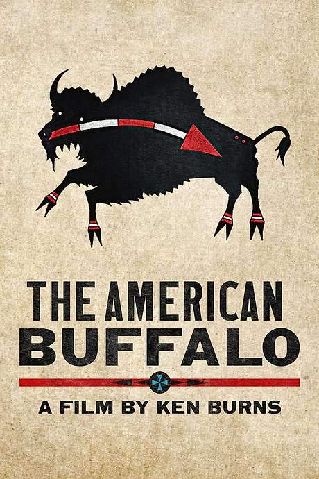The American Buffalo